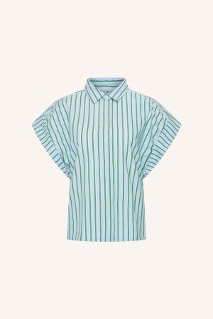 pixie sea 467 green sea s