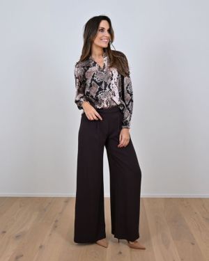 Pina bruin