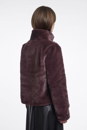 Vie.7002611 Chocolate bean