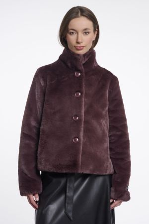 Vie.7002611 Chocolate bean