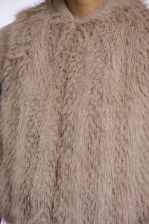 Alvita.7002612 Oat