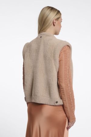 Elona.5002612 Oat