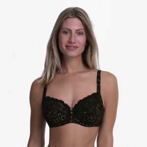 Liz 781 gold cat